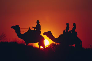 Camel Ride in Marrakech Desert Experience | Marrakech Tours 3