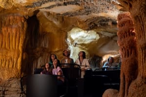 Immersive reconstruction of the Cosquer Cave prehistoric site visited during a day trip from Aix-en-Provence