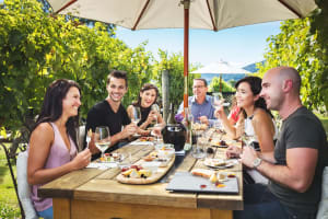 Private Marlborough Winery Tour 4