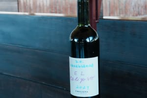 Faça o seu próprio vinho na Viña Emiliana! 3