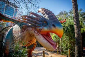 Official Houston Zoo Value Pass 3