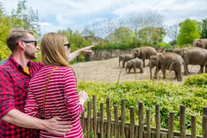 Go City Dublin Essentials Pass: Visit 3 Top Attractions 3
