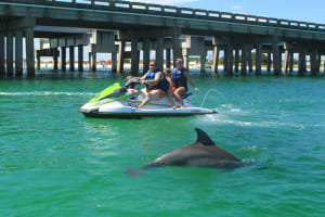 Destin Jet Ski Dolphin Tour 3