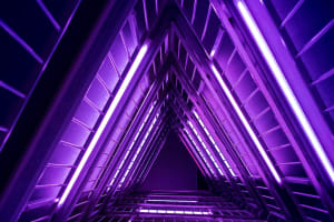Museum of Illusions St. Louis 3
