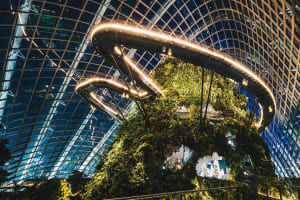 Gardens by the Bay Singapore Tickets 4