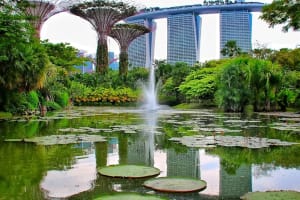 Gardens by the Bay Singapore Tickets 3