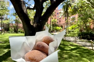 Secret Food Tours Honolulu 4