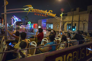 Las Vegas: Vegas After Dark Bus Tour with Free Drink (21+) 3