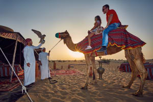 Dubai Highlights Pass: Tickets to 3-10 Attractions and Tours 3
