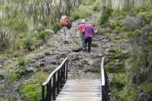 Marangu Express: 5-Day Kilimanjaro Summit Expedition 3