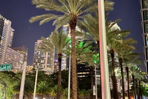 Miami Night Tour: 1.5hr Panoramic Night Tour on Open-Top Bus 3