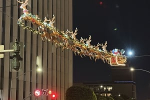 Los Angeles: Holiday Lights Bus Tour with Live Guide 4