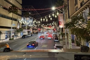Los Angeles: Holiday Lights Bus Tour with Live Guide 3