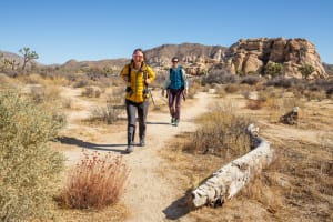 Joshua Tree Guided Hikes 3