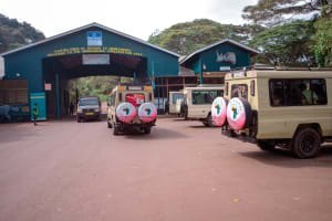 2 days Tanzania sharing budget camping safari package 3