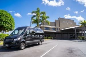 Big Island Highlights Tour: Coffee, Turtles, and Waterfall 4