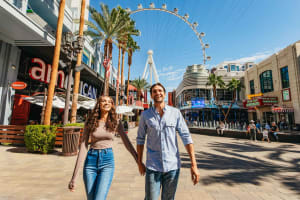 Las Vegas Pass: 45+ Attractions including Desert Icons: Valley of Fire or Red Rock Canyon Hike 3