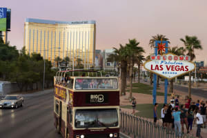 Ultimate Grand Canyon South Rim Package and 48-hour Hop-On Hop-Off Bus Tour 3