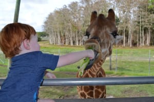Go City Miami Explorer Pass:	Tickets for 2 to 5 Attractions 3