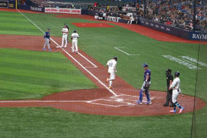 Tampa Bay Rays Baseball Game at Tropicana Field 3