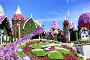 Miracle Garden: A Floral Wonderland in Dubai  4