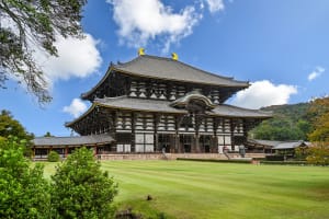 Nara Half-Day Small Group Tour from Kyoto  4