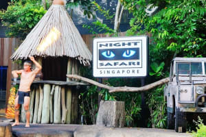 Singapore Night Safari Adventure 3
