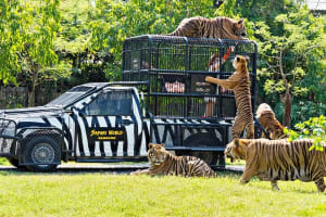 Safari world Bangkok 4