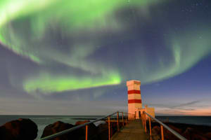 Northern Lights from Reykjavik: Guided Bus Tour 4
