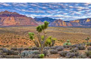 Red Rock Canyon Small Group Tour 4