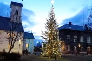 The Oslo Christmas Tree by Austurvollur