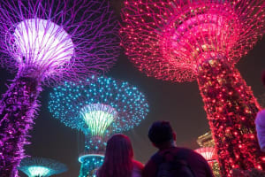 Singapore Night Tour: 3hr Live-Guided Panoramic Night Tour on Open-Top Bus 3