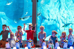 Sea World Abu Dhabi 3