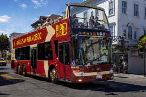 San Francisco Essential & Muir Woods: 24-Hours Hop-On Hop-Off Tour on Open-Top Bus & Muir Woods Visit 3