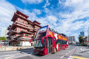 Singapore Essential: 2-Day Hop-On Hop-Off Sightseeing Bus Tour 3