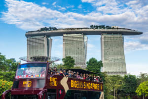 Singapore Explore: 2-Day Hop-On Hop-Off Sightseeing Bus Tour & Night Tour 4
