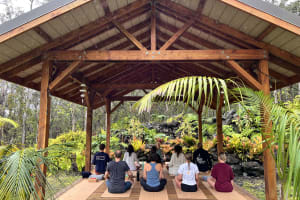 Slow-Flow Yoga In The Clouds- Kona Cloud Forest, Kailua-Kona 3