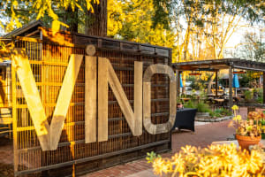 From San Francisco: Full Day Wine Country & Armstrong Woods Tour 3