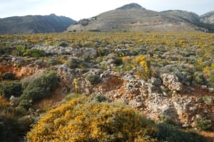 The Hiking Tour Of Imbros Gorge 4