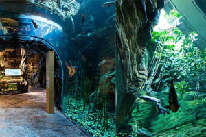 The Green Planet Dubai 3