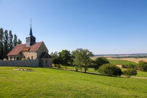 Champagne full day trip from Epernay (private) 4