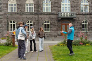 2 Days in Iceland - Reykjavik & Golden Circle 3
