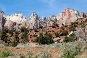 Small-Group Zion National Park Day Tour from Las Vegas 4