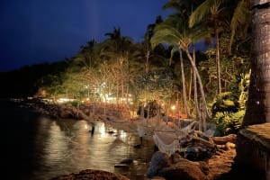 ALMA, Rhythms of the Night - VIP 4