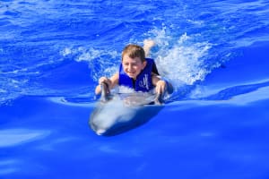Las Caletas & Dolphin Swim Tour 3