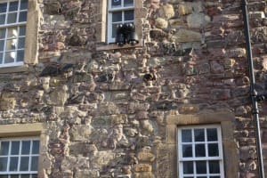 Highlights from the Royal Mile: A Self-Guided Audio Tour 4