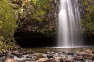 3 Days Aberdares Safari 3