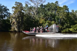 New Orleans Small Airboat Ride 3