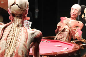 BODY WORLDS Amsterdam 3
