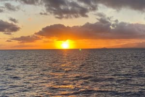 Sunset and Dolphin Cruise 3